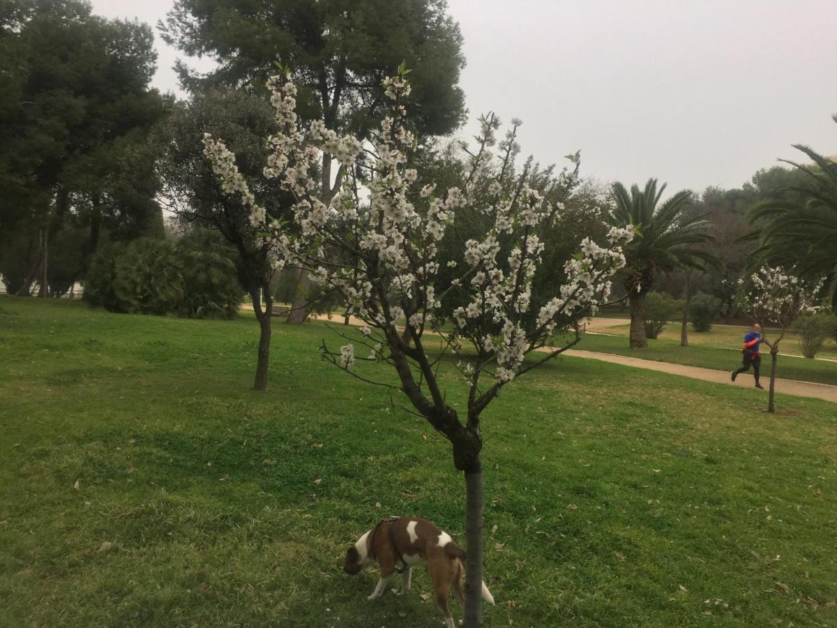 Mi Casa Your Home Βαλένθια Εξωτερικό φωτογραφία